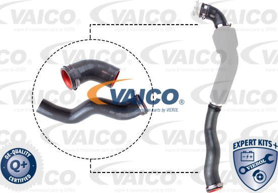 VAICO V46-1031 - Трубка, нагнетание воздуха autosila-amz.com