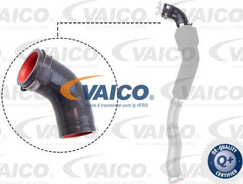 VAICO V46-1033 - Трубка, нагнетание воздуха autosila-amz.com