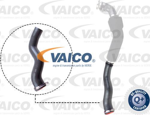 VAICO V46-1032 - Трубка, нагнетание воздуха autosila-amz.com