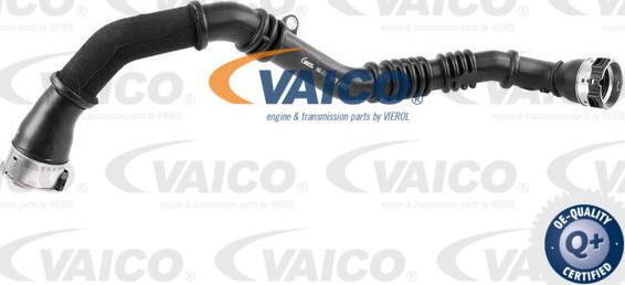 VAICO V46-1177 - Трубка, нагнетание воздуха autosila-amz.com