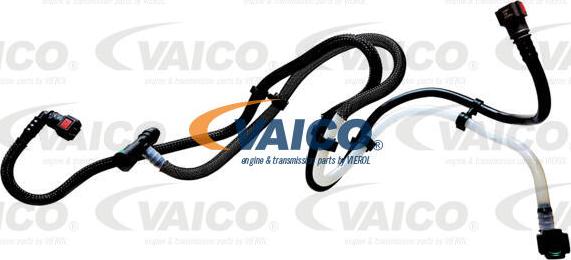 VAICO V46-1352 - Топливопровод autosila-amz.com