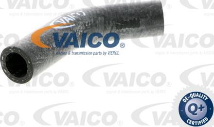 VAICO V40-0367 - Шланг радиатора autosila-amz.com