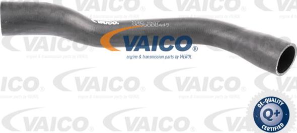 VAICO V40-1987 - Шланг для удаление воздуха, топливный бак autosila-amz.com