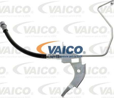 VAICO V40-1922 - Тормозной шланг autosila-amz.com