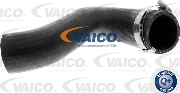 VAICO V40-1501 - Трубка, нагнетание воздуха autosila-amz.com