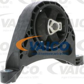 VAICO V40-1035 - Подушка, опора, подвеска двигателя autosila-amz.com