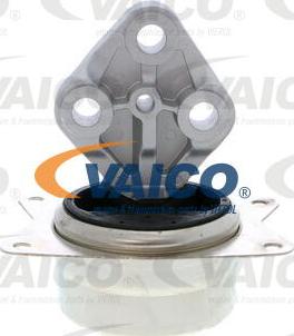 VAICO V40-1129 - Подушка, опора, подвеска двигателя autosila-amz.com