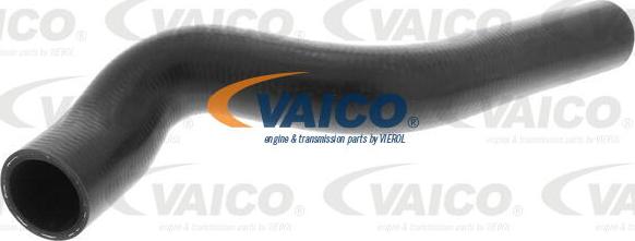 VAICO V40-1170 - Шланг радиатора autosila-amz.com