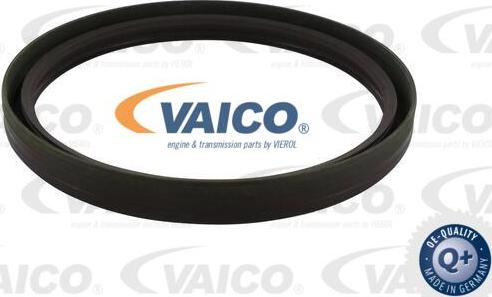 VAICO V40-1801 - Уплотняющее кольцо, коленчатый вал autosila-amz.com