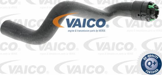 VAICO V40-1347 - Шланг радиатора autosila-amz.com