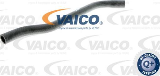 VAICO V40-1354 - Шланг радиатора autosila-amz.com