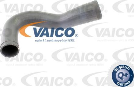 VAICO V40-1365 - Трубка, нагнетание воздуха autosila-amz.com