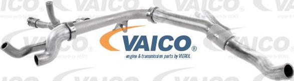 VAICO V40-1333 - Шланг радиатора autosila-amz.com