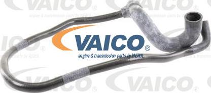 VAICO V40-1762 - Шланг радиатора autosila-amz.com