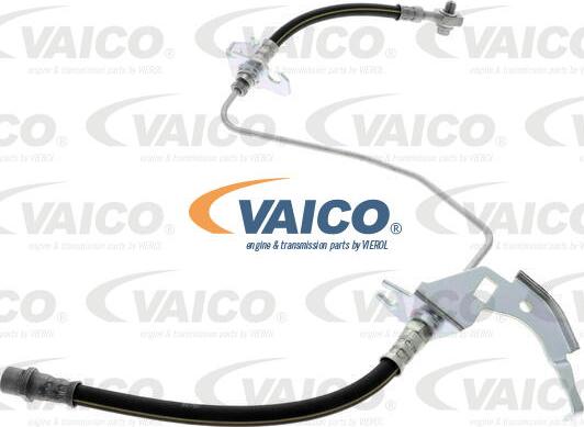 VAICO V40-1711 - Тормозной шланг autosila-amz.com