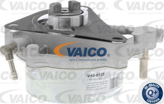 VAICO V40-8125 - Вакуумный насос, тормозная система autosila-amz.com