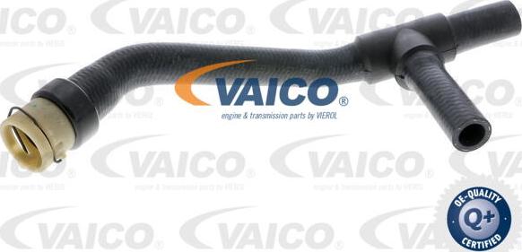 VAICO V40-2007 - Шланг радиатора autosila-amz.com