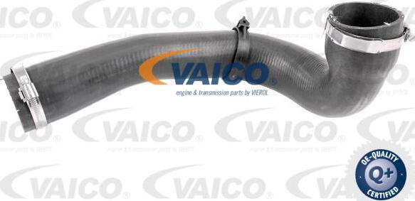 VAICO V48-0185 - Трубка, нагнетание воздуха autosila-amz.com