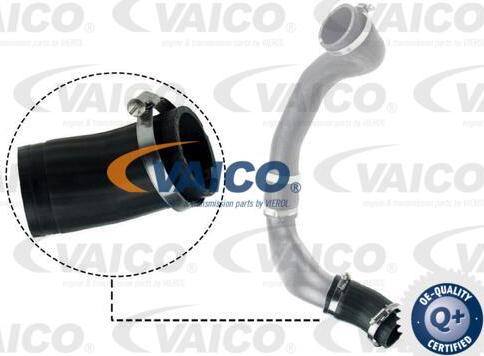 VAICO V48-0186 - Трубка, нагнетание воздуха autosila-amz.com