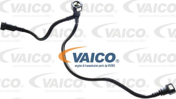 VAICO V42-0948 - Топливопровод autosila-amz.com