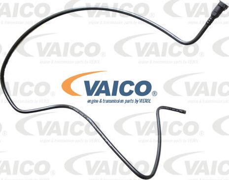 VAICO V42-0953 - Топливопровод autosila-amz.com
