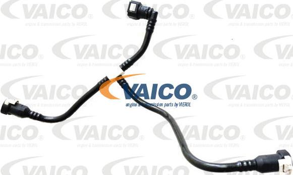 VAICO V42-0962 - Топливопровод autosila-amz.com