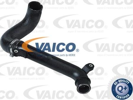 VAICO V42-0595 - Трубка, нагнетание воздуха autosila-amz.com