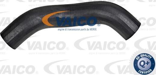 VAICO V42-0585 - Трубка, нагнетание воздуха autosila-amz.com
