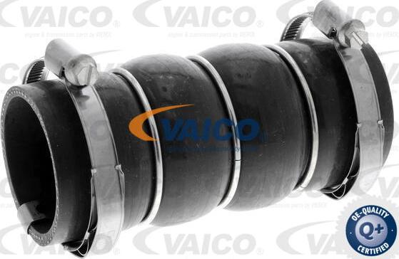 VAICO V42-0581 - Трубка, нагнетание воздуха autosila-amz.com
