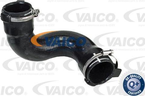 VAICO V42-0587 - Трубка, нагнетание воздуха autosila-amz.com