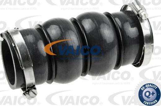 VAICO V42-0579 - Трубка, нагнетание воздуха autosila-amz.com