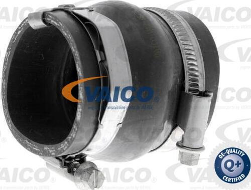 VAICO V42-0570 - Трубка, нагнетание воздуха autosila-amz.com