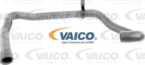 VAICO V42-0665 - Шланг радиатора autosila-amz.com