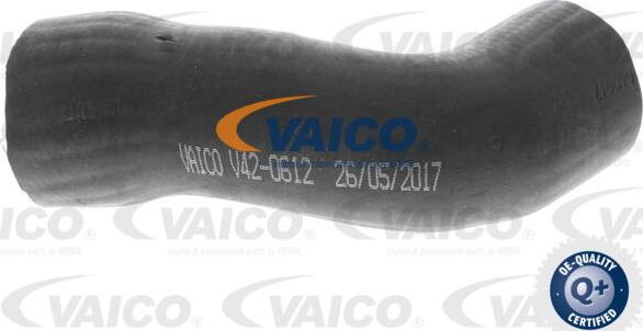 VAICO V42-0612 - Трубка, нагнетание воздуха autosila-amz.com