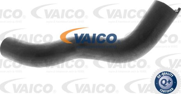 VAICO V42-0637 - Шланг радиатора autosila-amz.com