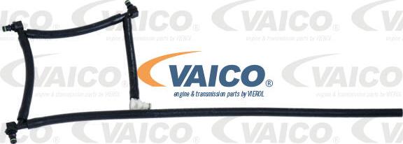VAICO V42-0862 - Шланг, утечка топлива autosila-amz.com