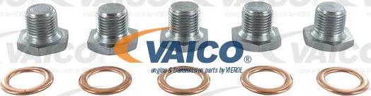 VAICO V42-0259 - Резьбовая пробка, маслянный поддон autosila-amz.com