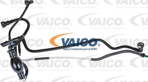 VAICO V42-0784 - Топливопровод autosila-amz.com