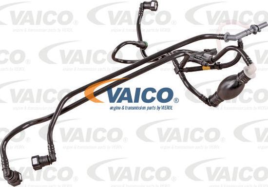VAICO V42-0785 - Топливопровод autosila-amz.com