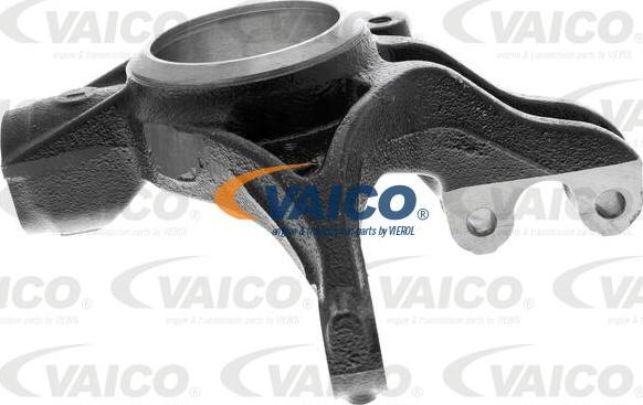 VAICO V42-0725 - Поворотный кулак, подвеска колеса autosila-amz.com