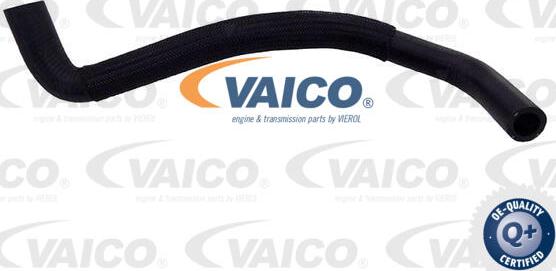 VAICO V42-1013 - Шланг радиатора autosila-amz.com