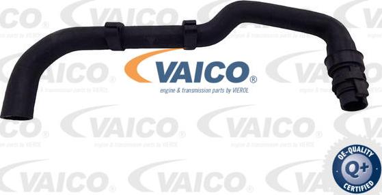 VAICO V42-1028 - Шланг радиатора autosila-amz.com