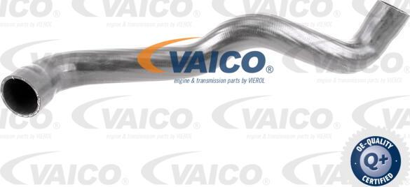 VAICO V50-0084 - Трубка, нагнетание воздуха autosila-amz.com