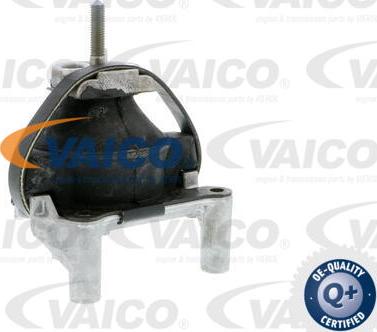 VAICO V50-0031 - Подушка, опора, подвеска двигателя autosila-amz.com