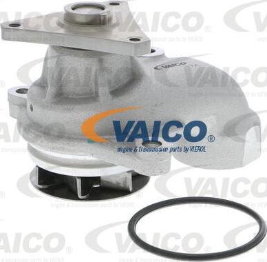 VAICO V53-50006 - Водяной насос autosila-amz.com