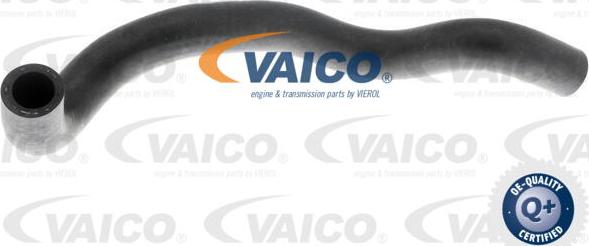 VAICO V10-4653 - Шланг радиатора autosila-amz.com