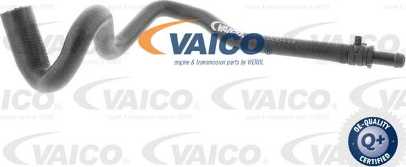 VAICO V10-4663 - Шланг радиатора autosila-amz.com