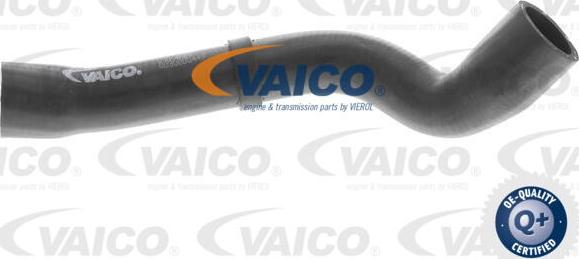 VAICO V10-4667 - Шланг радиатора autosila-amz.com