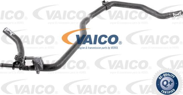 VAICO V10-4681 - Шланг радиатора autosila-amz.com