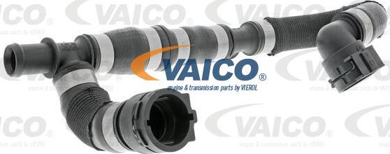 VAICO V10-4626 - Шланг радиатора autosila-amz.com